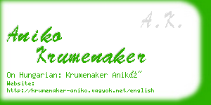 aniko krumenaker business card